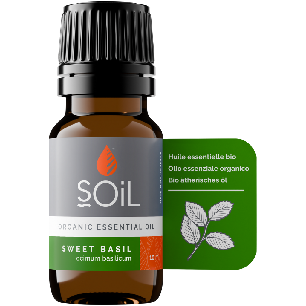 Organic Basil Essential Oil (Ocimum Basilicum) 10ml