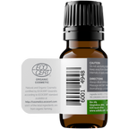 Organic Basil Essential Oil (Ocimum Basilicum) 20ml