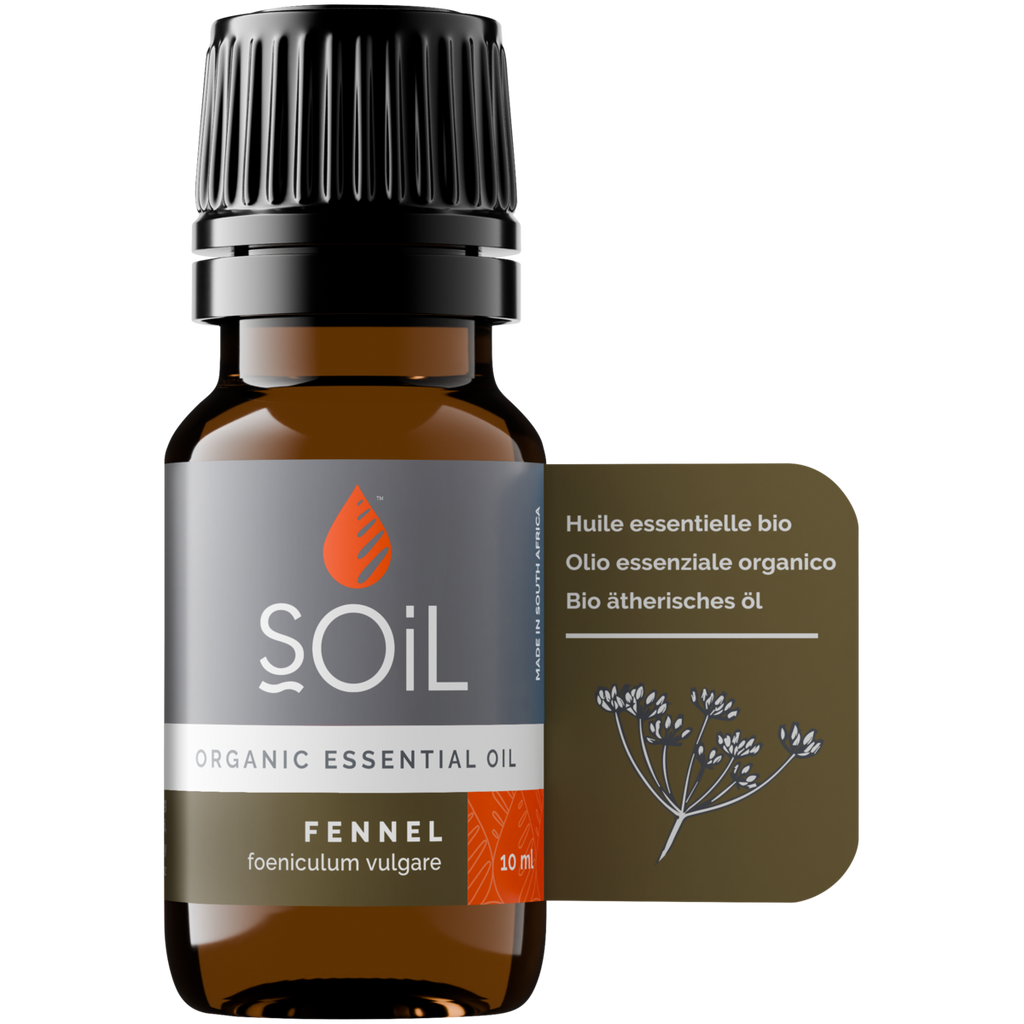 Organic Fennel Essential Oil (Foeniculum Vulgarus) 20ml