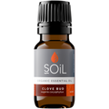 Organic Clove Bud Essential Oil (Eugenia Caryophillus) 20ml